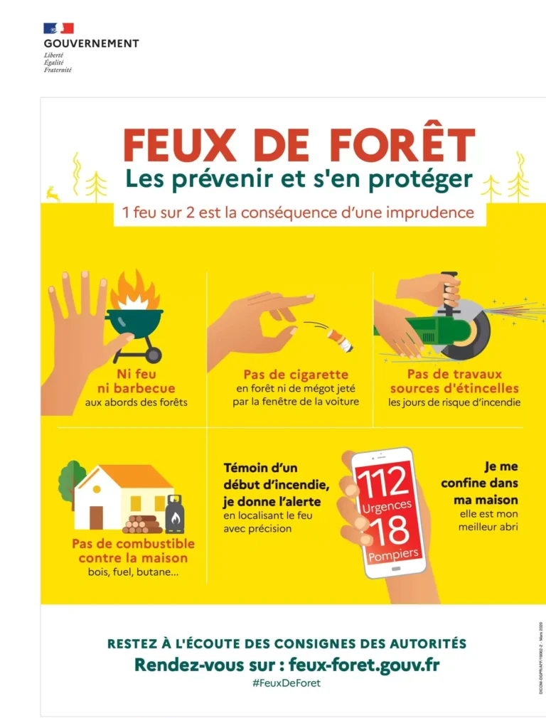 🌳 J’aime la forêt, je la protège.